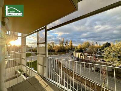 Terrassenwohnung mieten in 1220 Wien (Bild 1)