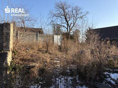 Haus kaufen in 2182 Palterndorf (Bild 4)