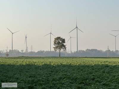 Grundstück kaufen in 2486 Pottendorf