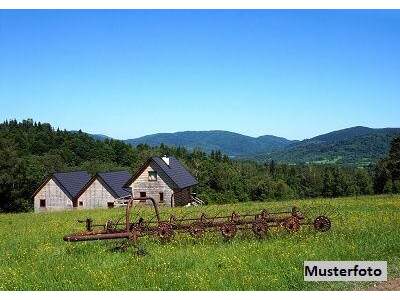 Haus kaufen in 4443 Maria Neustift