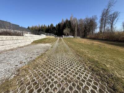Haus kaufen in 4040 Lichtenberg (Bild 4)
