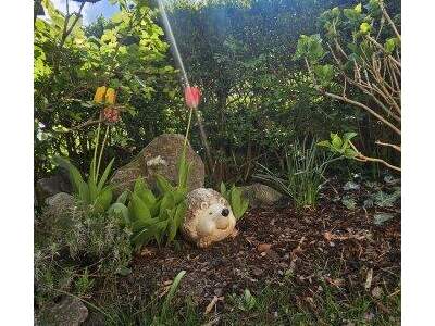 Mehrfamilienhaus kaufen in 9782 Nikolsdorf (Bild 5)