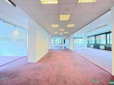 Gewerbeobjekt mieten in 1200 Wien (Bild 5)