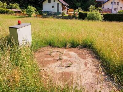 Grundstück kaufen in 9433 Schönweg (Bild 3)