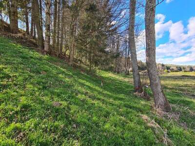 Grundstück kaufen in 8082 Kirchbach (Bild 2)