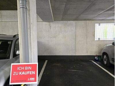 Halle / Lager / Produktion kaufen in 4222 Sankt Georgen (Bild 2)
