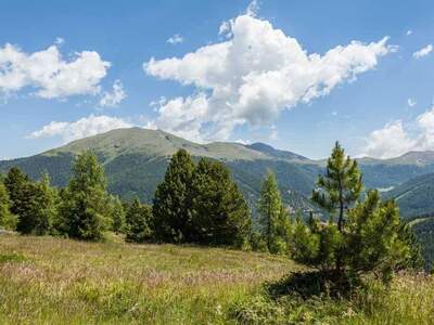 Grundstück kaufen in 8864 Turracherhöhe