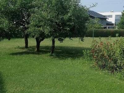 Grundstück kaufen in 4614 Marchtrenk