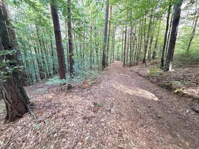 Gewerbeobjekt kaufen in 8063 Eggersdorf