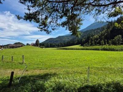 Grundstück kaufen in 9771 Berg