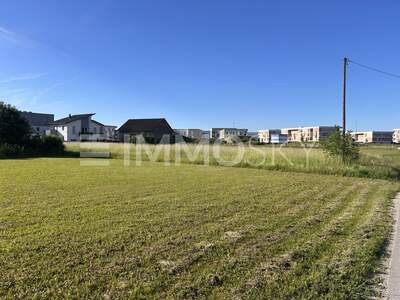 Grundstück kaufen in 4030 Linz (Bild 3)