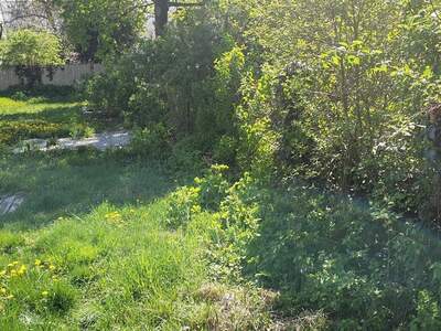 Grundstück provisionsfrei mieten in 2700 Wiener Neustadt