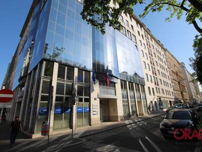 Gewerbeobjekt mieten in 1090 Wien (Bild 1)