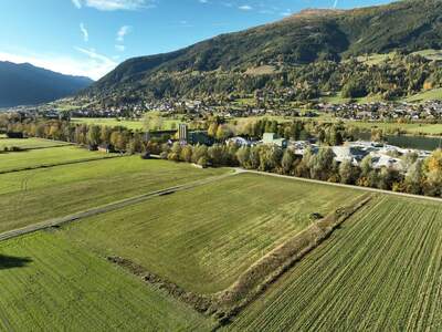 Land- und Forstwirtschaft kaufen in 5582 Sankt Martin
