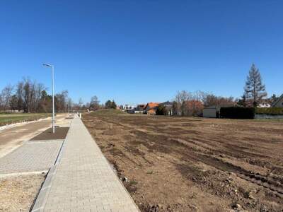 Grundstück kaufen in 2473 Potzneusiedl