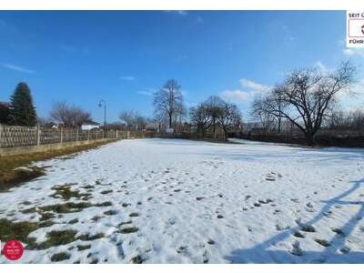 Grundstück kaufen in 2620 Neunkirchen