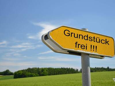 Grundstück kaufen in 5722 Niedernsill