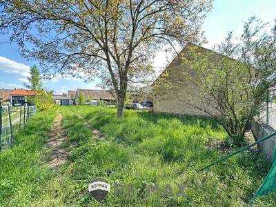 Grundstück kaufen in 3710 Ziersdorf (Bild 3)