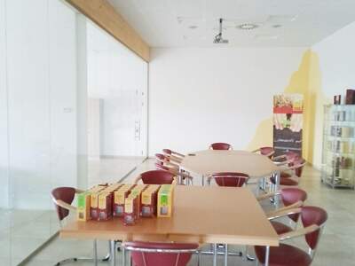 Gewerbeobjekt mieten in 4655 Vorchdorf (Bild 3)