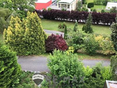Einfamilienhaus kaufen in 2632 Grafenbach (Bild 3)