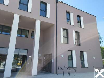 Gewerbeobjekt mieten in 4063 Hörsching (Bild 5)