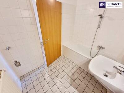 Wohnung kaufen in 1100 Wien (Bild 3)