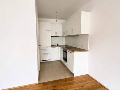 Wohnung mieten in 4052 Ansfelden