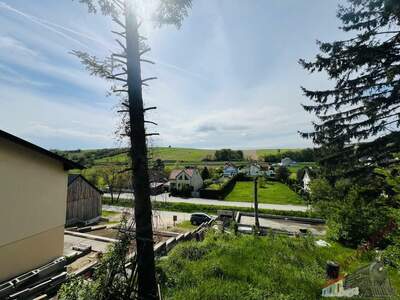 Grundstück kaufen in 2123 Hautzendorf (Bild 4)