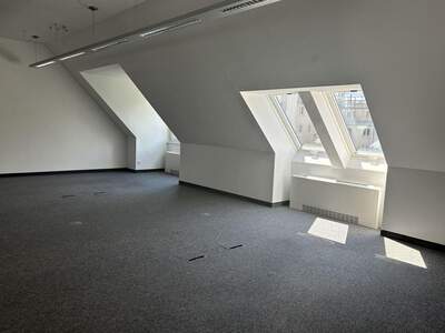 Gewerbeobjekt mieten in 1190 Wien (Bild 3)