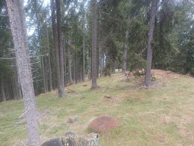 Gewerbeobjekt kaufen in 9542 Verditz