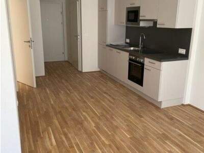Terrassenwohnung mieten in 1220 Wien (Bild 4)