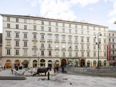 Gewerbeobjekt mieten in 1010 Wien (Bild 2)