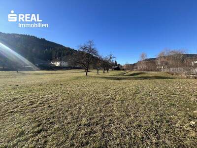 Grundstück kaufen in 9361 St. Salvator (Bild 4)