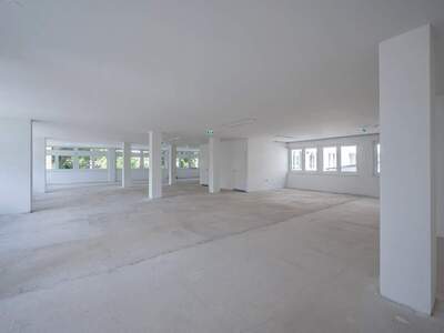 Gewerbeobjekt mieten in 1130 Wien