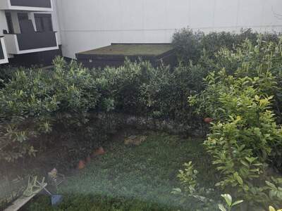 Wohnung mieten in 1150 Wien