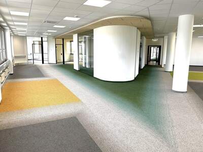 Gewerbeobjekt mieten in 1210 Wien (Bild 4)