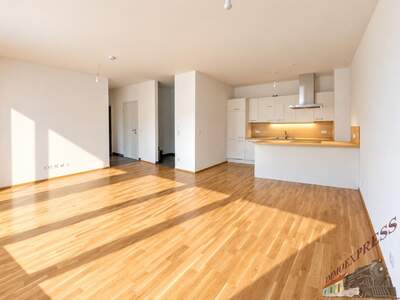 Terrassenwohnung kaufen in 3400 Klosterneuburg (Bild 3)