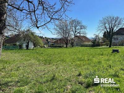 Grundstück kaufen in 4060 Leonding (Bild 1)