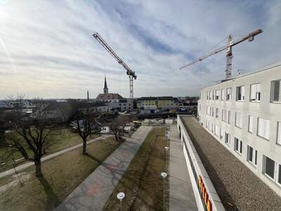 Büro / Praxis mieten in 2353 Guntramsdorf (Bild 2)