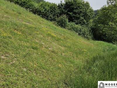 Grundstück kaufen in 8075 Hart (Bild 3)