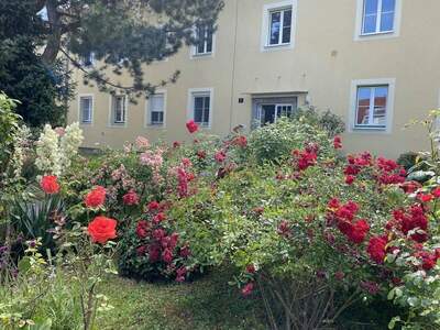 Wohnung mieten in 4040 Linz