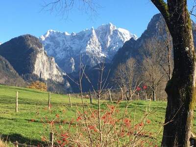 Haus kaufen in 8912 Johnsbach (Bild 3)