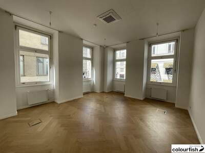 Gewerbeobjekt mieten in 1010 Wien (Bild 1)