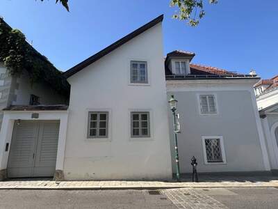 Haus kaufen in 1190 Wien