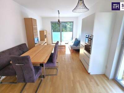 Terrassenwohnung mieten in 1100 Wien (Bild 1)
