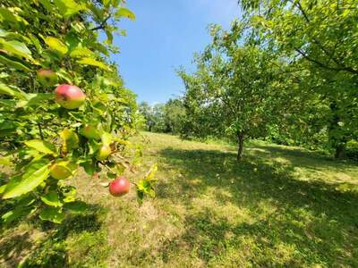 Grundstück kaufen in 8280 Stadtbergen (Bild 2)