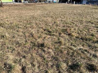 Grundstück kaufen in 2231 Strasshof (Bild 3)