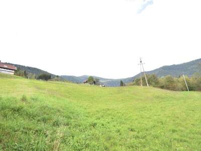 Gewerbeobjekt kaufen in 9543 Arriach (Bild 2)