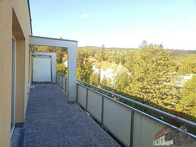 Wohnanlage kaufen in 2500 Baden (Bild 1)