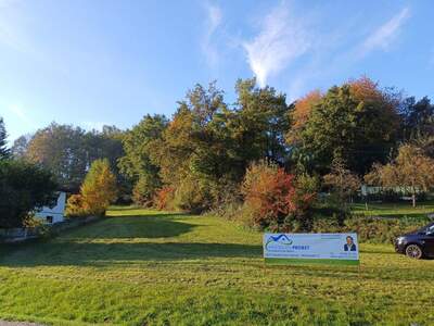 Grundstück kaufen in 4941 Mehrnbach (Bild 3)